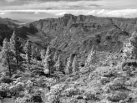 Mirador Roque Nublo